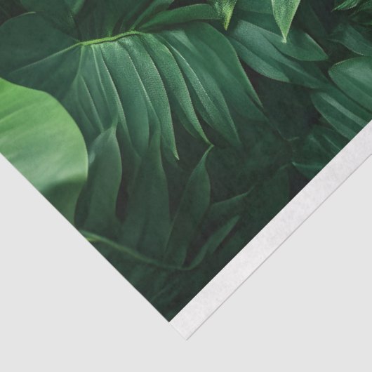 Grüne tropische Blätter Seidenpapier (Ausschnitt)