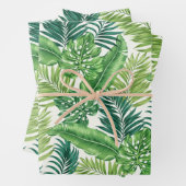 Grüne tropische Palmen Banana Monstera Blätter (Beispiel)