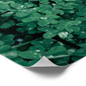 Grüne Typografie-LIEBE Poster (Ecke)