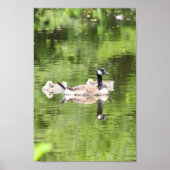 Grüne Überlegungen Poster (Vorne)