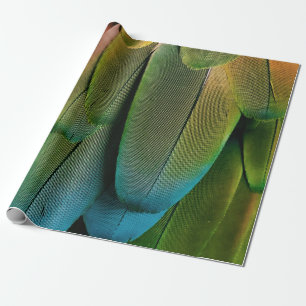 Grüne und blaue Federn Geschenkpapier