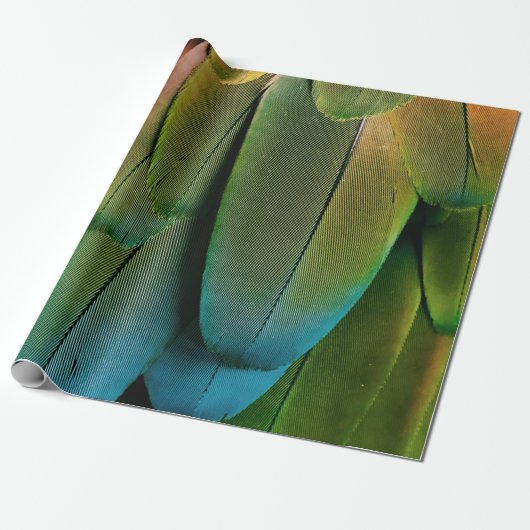 Grüne und blaue Federn Geschenkpapier (Ungerollt)