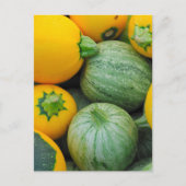 Grüne und gelbe Squash Postkarte (Vorderseite)