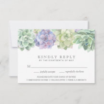 Grüne und Lila Sukkulente