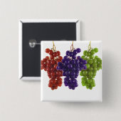 Grüne und Lila Trauben Button (Vorne & Hinten)
