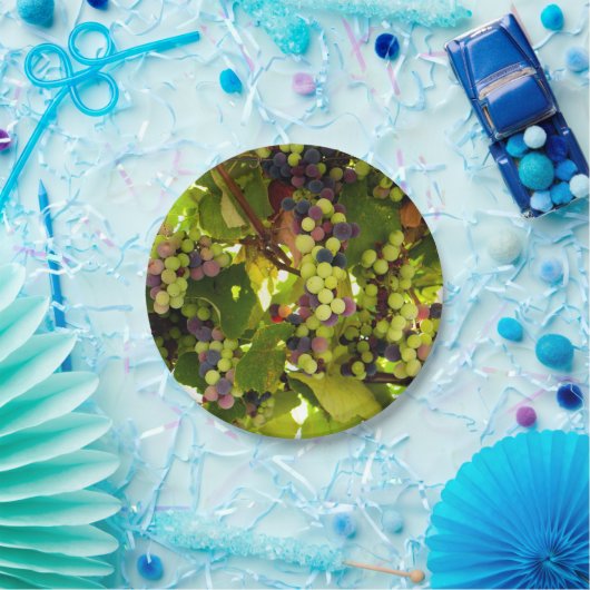 Grüne und Lila Weintrauben Pappteller (Party)