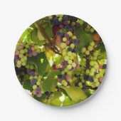 Grüne und Lila Weintrauben Pappteller (Vorderseite)