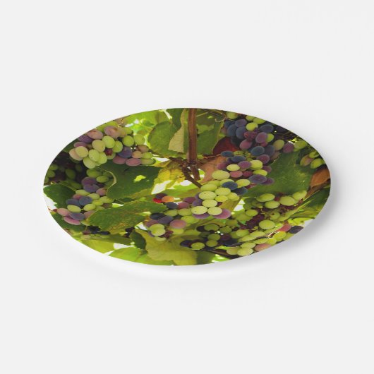 Grüne und Lila Weintrauben Pappteller (Schrägansicht)