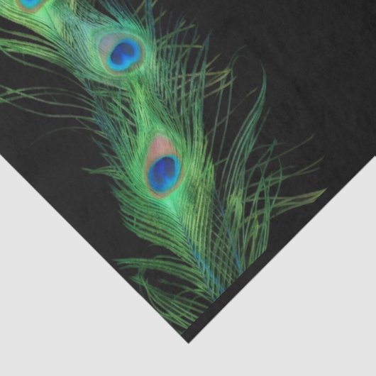 Grüne und schwarze Pfau-Feder Seidenpapier (Ausschnitt)
