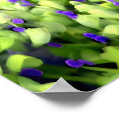 grüne und violette Blüten Poster (Ecke)