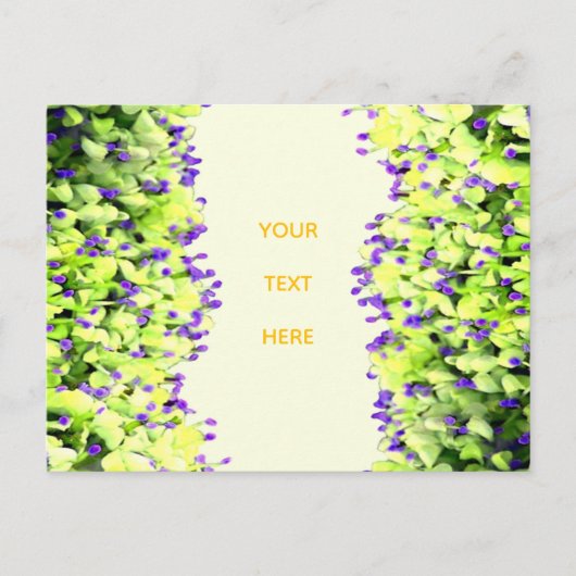 grüne und violette Blüten Postkarte (Vorderseite)