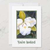 Grüne und weiße Cattleya Orchids Einladung (Vorderseite)