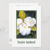 Grüne und weiße Cattleya Orchids Einladung (Vorne/Hinten)