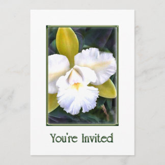 Grüne und weiße Cattleya Orchids Einladung