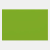 Grüne und weiße Nummer Muster 80 Geschenkpapier Set (Vorderseite 3)