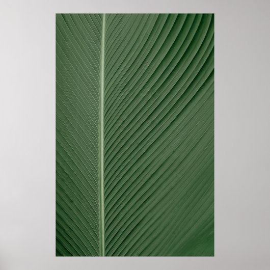 Grüne und weiße Streifen Poster (Vorne)