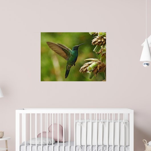 Grüne Violettohren Hummingbird Gerahmt Print Poster (Kinderzimmer 2)