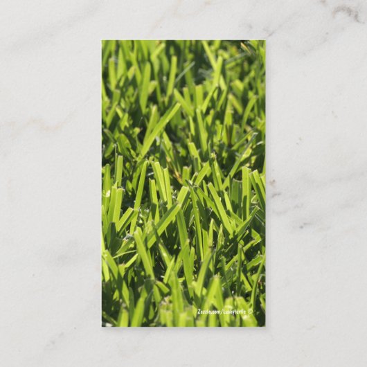 Grüne Visitenkarten Visitenkarte (Rückseite)