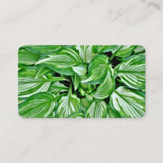 Grüne Visitenkarten Visitenkarte (Vorderseite)