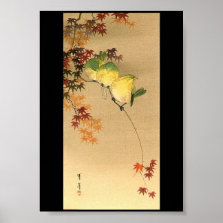 Grüne Vögel auf Ahornbaum, japanische Kunst c.1800 Poster