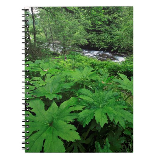 Grüne Waldvegetation Notizblock (Vorderseite)
