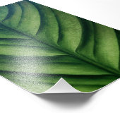 Grüne Wasserfarbe Fotodruck (Ecke)