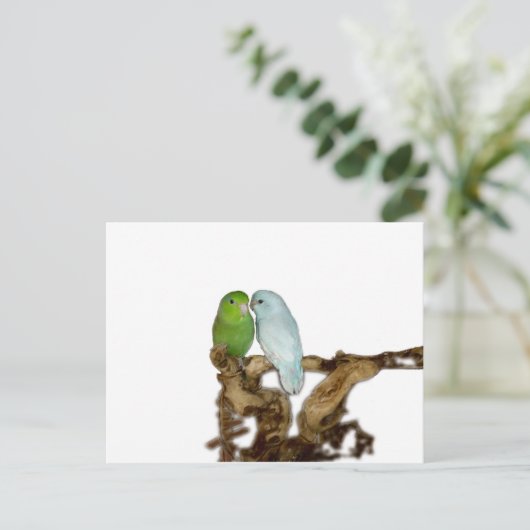 Grüne Weibchen und Blaumännchen Postkarte (Stehend Vorderseite)