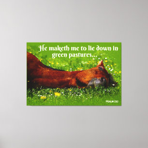 Grüne Weiden Leinwanddruck