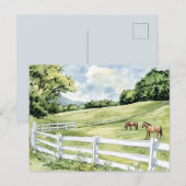 Grüne Weiden Ranch Pferde Postkarte (Vorne/Hinten)