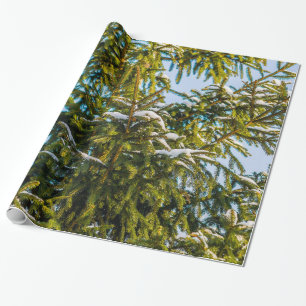 Grüne Weihnachtsbaum Im Schnee Geschenkpapier
