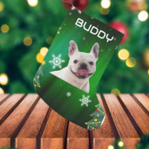 Grüne Weihnachtsbaumen Hunde Foto