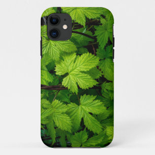 Grüne Weinberge Schönheit Case-Mate iPhone Hülle