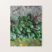 Grüne Weinrebe, die auf Baumart wachsen Puzzle (Vertikal)