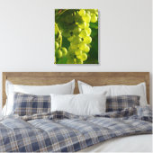 Grüne Weintrauben Leinwanddruck (Insitu (Schlafzimmer))