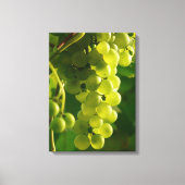 Grüne Weintrauben Leinwanddruck (Vorderseite)