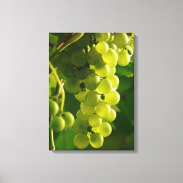 Grüne Weintrauben Leinwanddruck