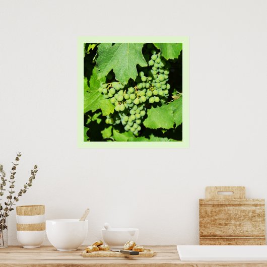 Grüne Weintrauben Poster (Küche)