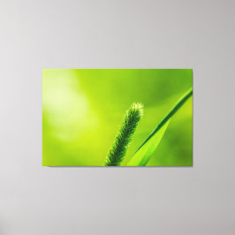 Grüne Welt Leinwanddruck