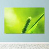 Grüne Welt Leinwanddruck (Insitu (Holzboden))