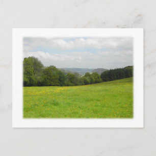 Grüne Wiese. Landschaft. Custom Postkarte