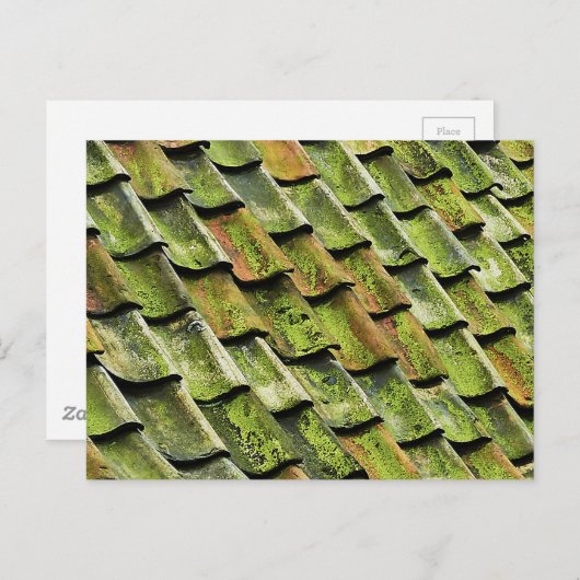 Grüne Winkel Postkarte (Vorne/Hinten)