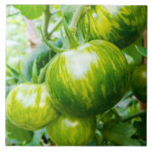 Grüne Zebra Heirloom Tomaten/Paradeiser auf dem We Fliese (Vorderseite)