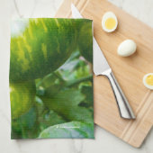 Grüne Zebra Heirloom Tomaten/Paradeiser auf dem We Geschirrtuch (Viertel Falte)