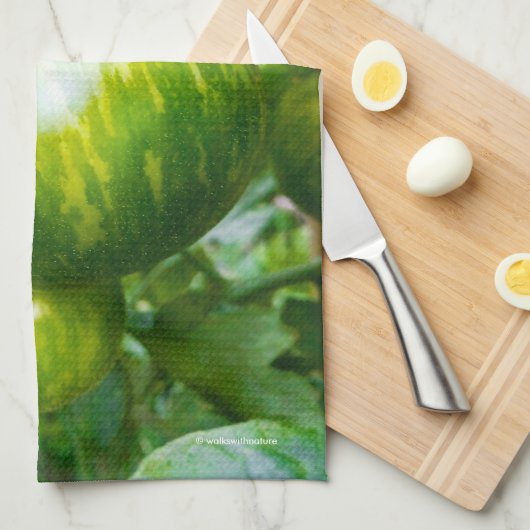 Grüne Zebra Heirloom Tomaten/Paradeiser auf dem We Geschirrtuch (Viertel Falte)