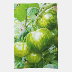 Grüne Zebra Heirloom Tomaten/Paradeiser auf dem We Geschirrtuch