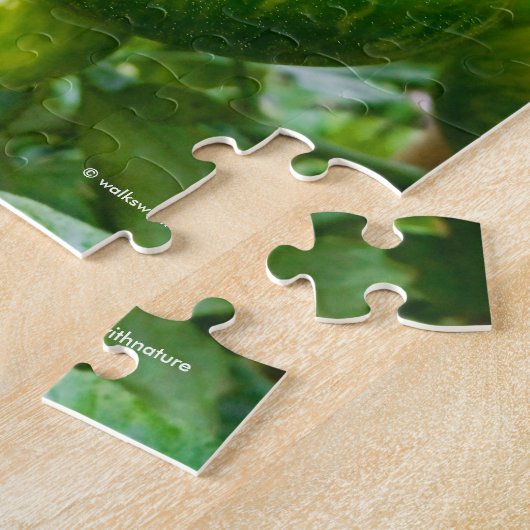 Grüne Zebra Heirloom Tomaten/Paradeiser auf dem We Puzzle (Seite)