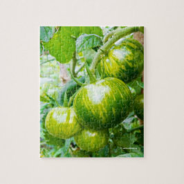 Grüne Zebra Heirloom Tomaten/Paradeiser auf dem We Puzzle