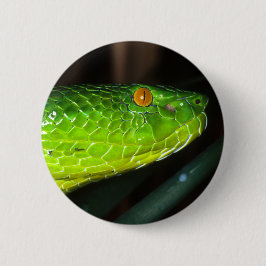Grünen Stejnegers Grubenviperschlange Button