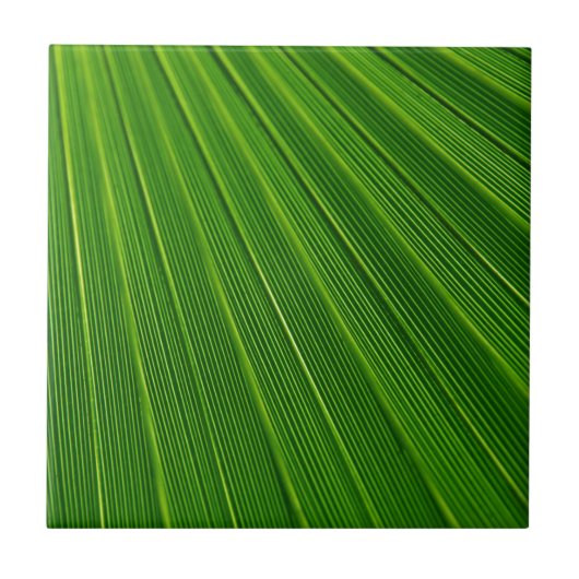 Grüner Abstrakter Hintergrund Fliese (Vorderseite)