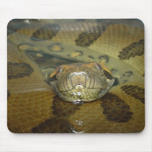 Grüner Anaconda Mousepad (Vorne)